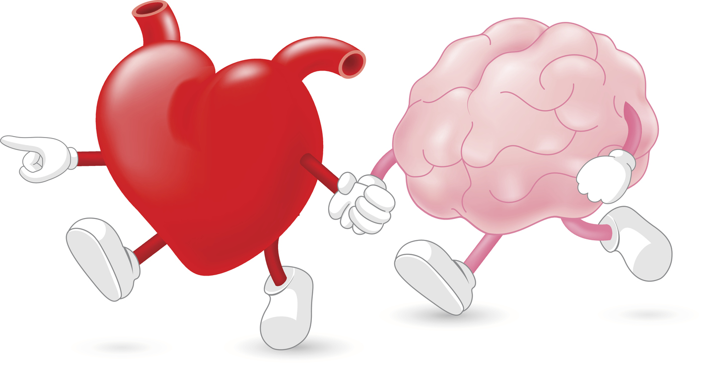 Мозг и сердце вместе
